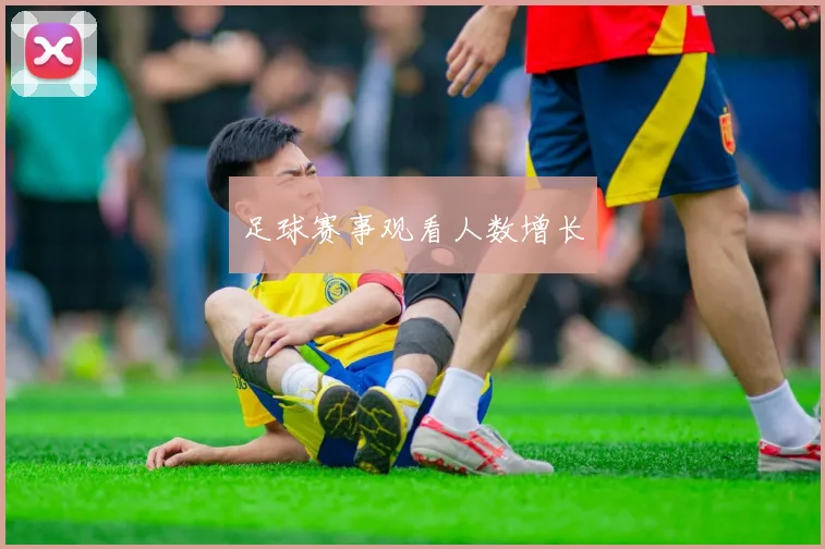 足球赛事观看人数增长