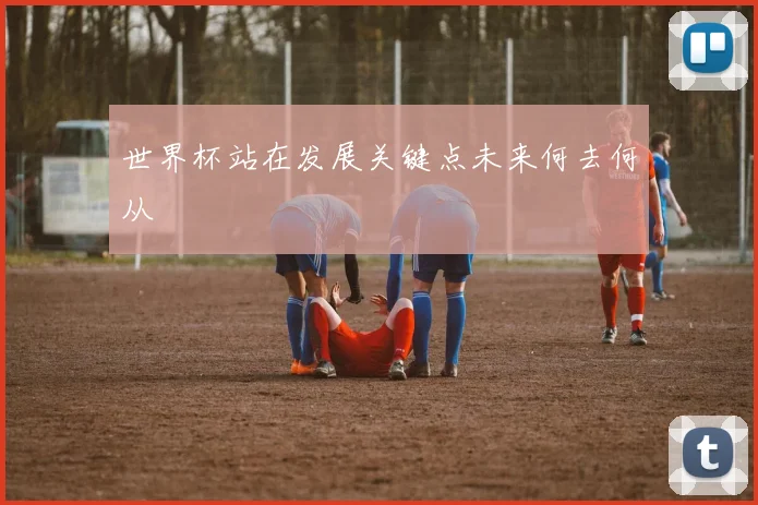 世界杯站在发展关键点未来何去何从